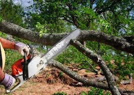 Lawn Irrigation Installation and Maintenance in Ponder, TX